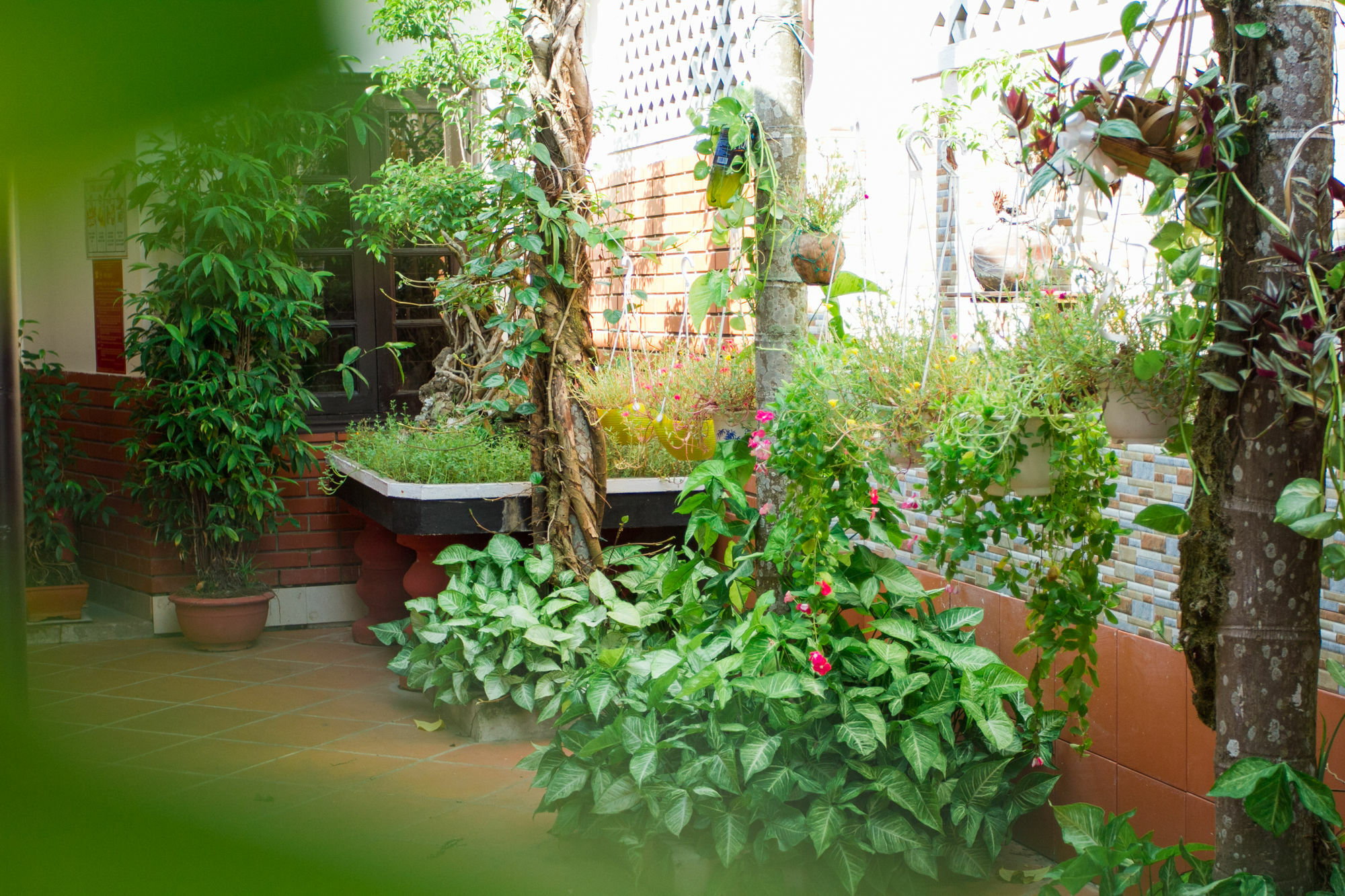 Red Ceramics Homestay Hội An Kültér fotó